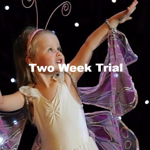 Level 2 Ballet WINTER 2025 - Trial